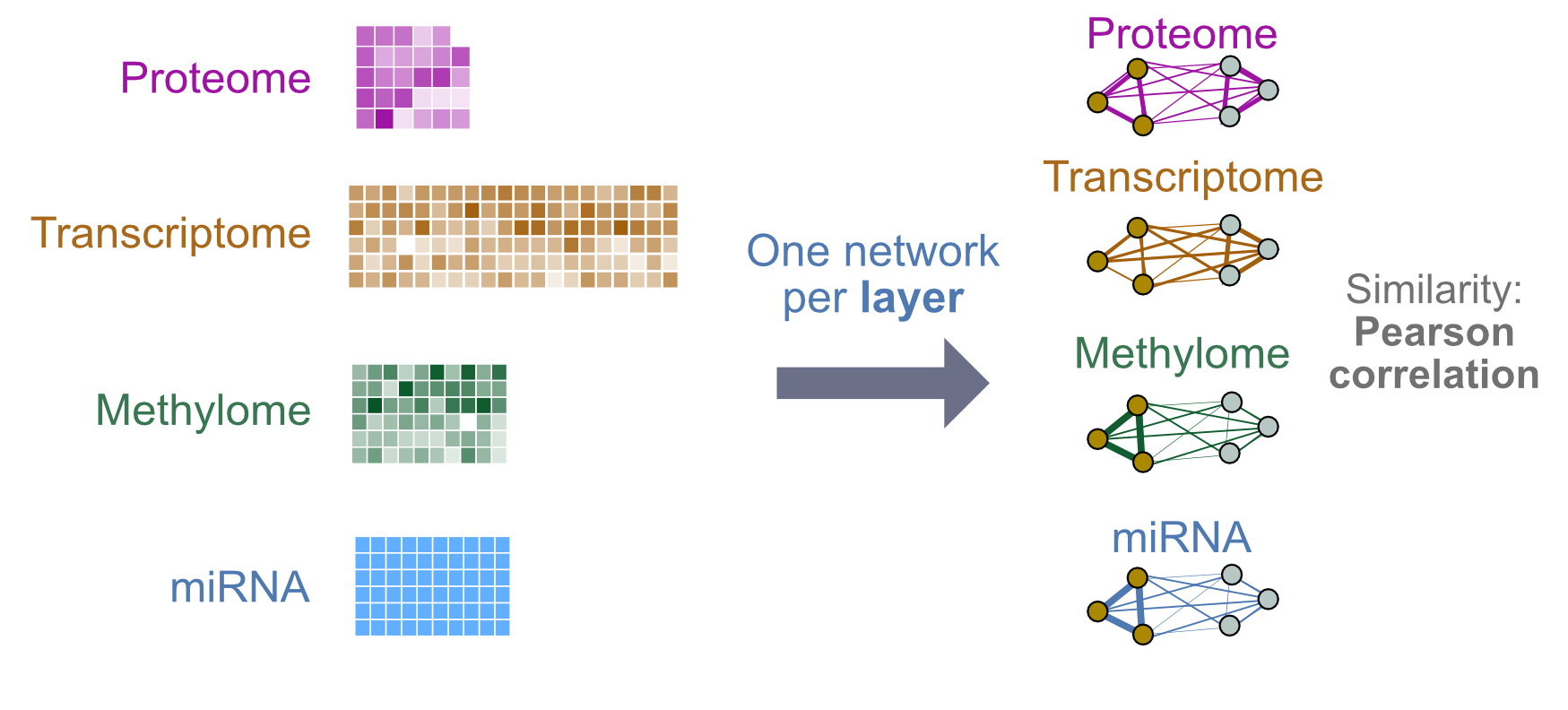 Lab 1 design: We will integrate four layers of genomic data. Each layer will be converted into a single patient similarity network using Pearson correlation for pairwise similarity. 