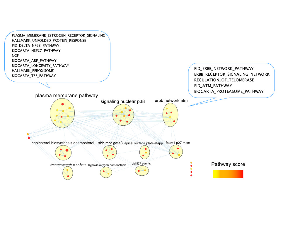 Lab 2: EnrichmentMap for top-scoring pathways predictive of Luminal A status. Nodes show pathways scoring 7+ out of 10 in over 70% of train/test splits. Edges connect pathways with shared genes. Yellow bubbles show pathway clusters, labelled by AutoAnnotate [@Kucera2016-yj]. Node fills indicate top score in 70%+ of the splits. Speech bubbles show pathways in example clusters.